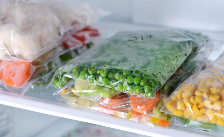 Nivi Project Services — industrial and frozen food solutions